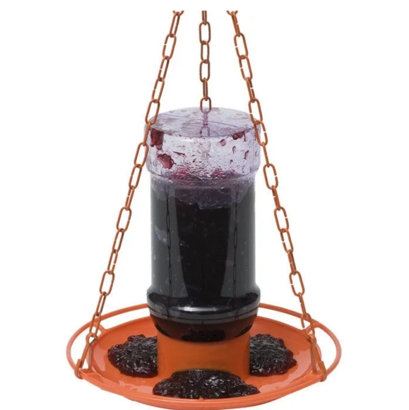 Perky Pet Oriole Feeder - Picture 4 of 5